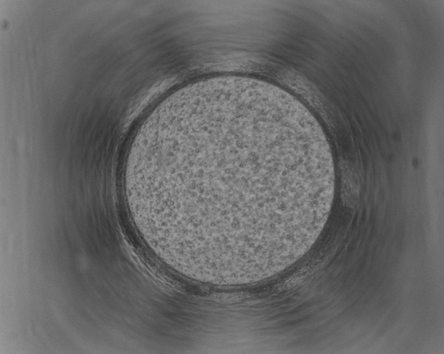 X0000062150482200601060953
