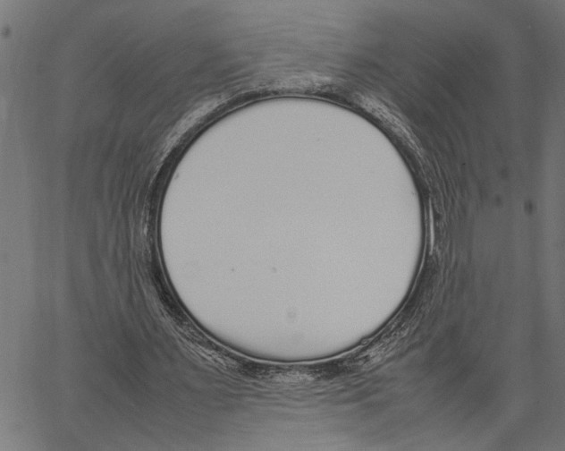 X0000062150483200601060953