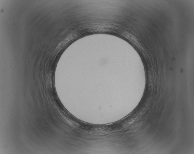 X0000062150489200601060953