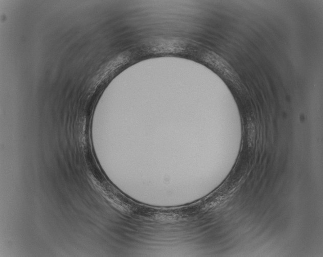 X0000062150490200601060953
