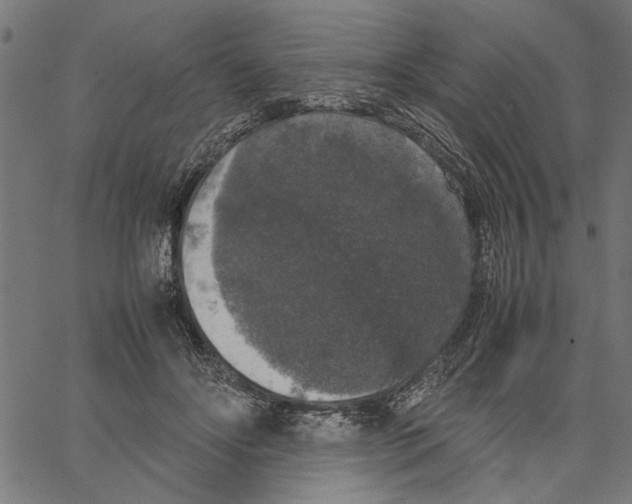 X0000062150502200601060952