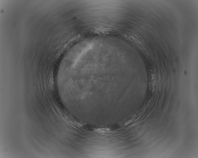 X0000062150508200601060952