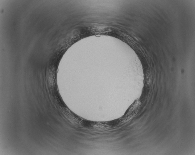 X0000062150515200601060952