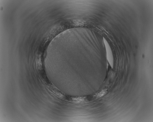 X0000062150516200601060952