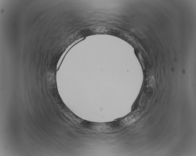 X0000062150521200601060952