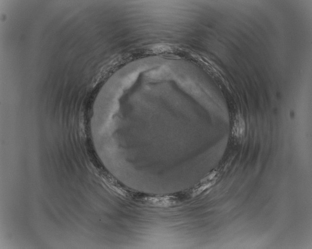 X0000062150524200601060952