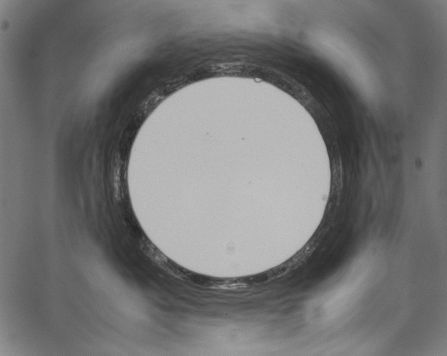 X0000062150525200601060952