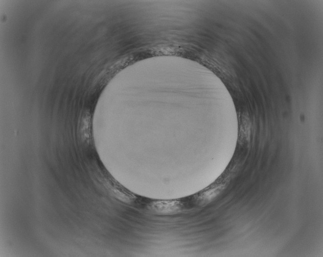 X0000062150526200601060952