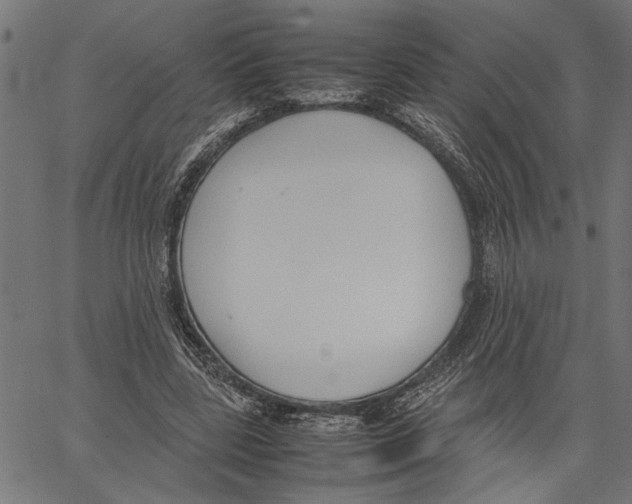X0000062150539200601060951