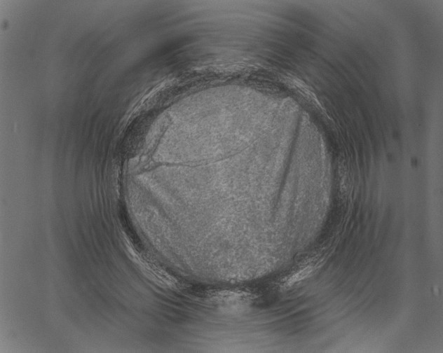 X0000062150542200601060951