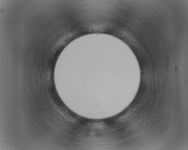 X0000062150548200601060951