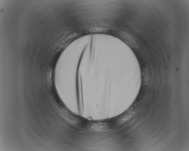 X0000062150550200601060951
