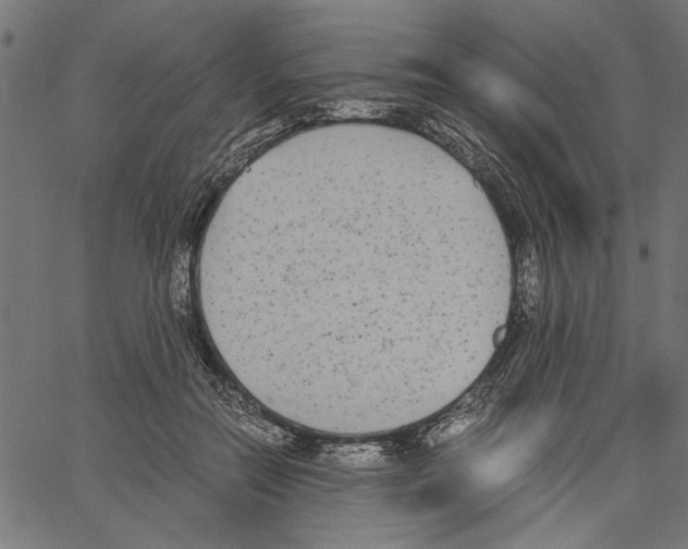 X0000062150554200601060952
