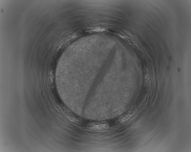 X0000062150555200601060952