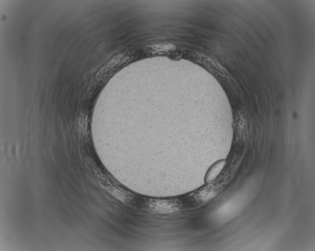 X0000062150565200601060952