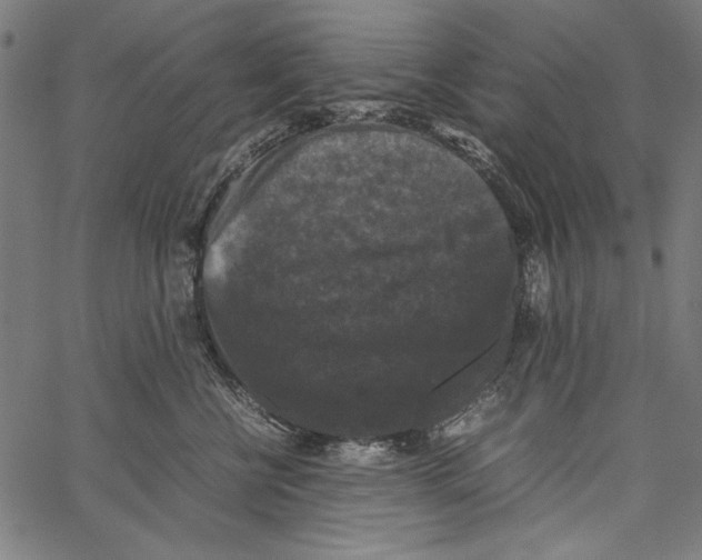 X0000062150570200601060952