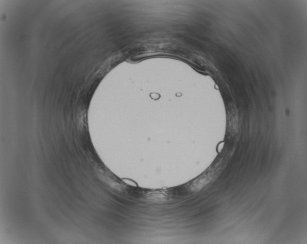 X0000062150574200601060952