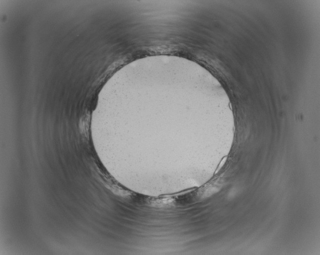 X0000062150576200601060952