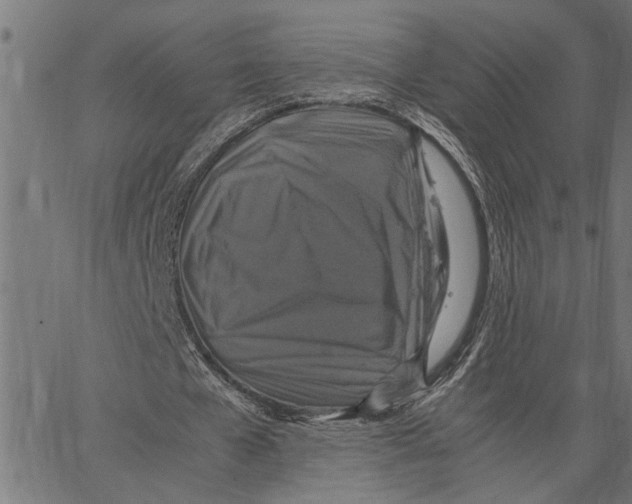 X0000062150577200601060951