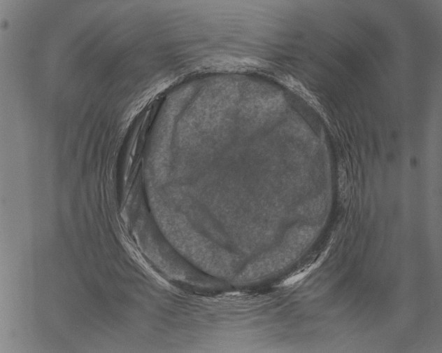 X0000062150581200601060951