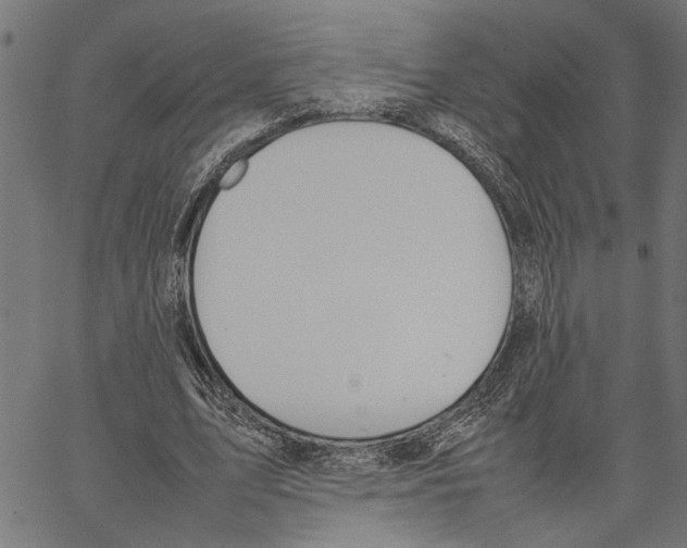 X0000062150583200601060951