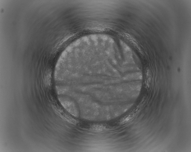X0000062150596200601060951