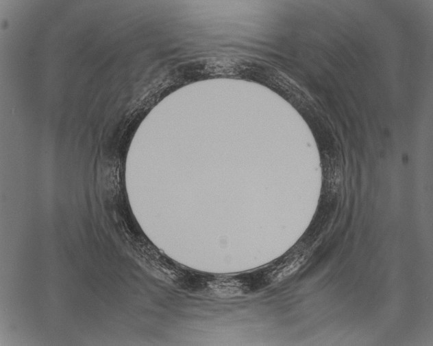 X0000062150603200601060951