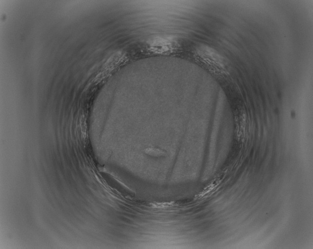 X0000062150606200601060951