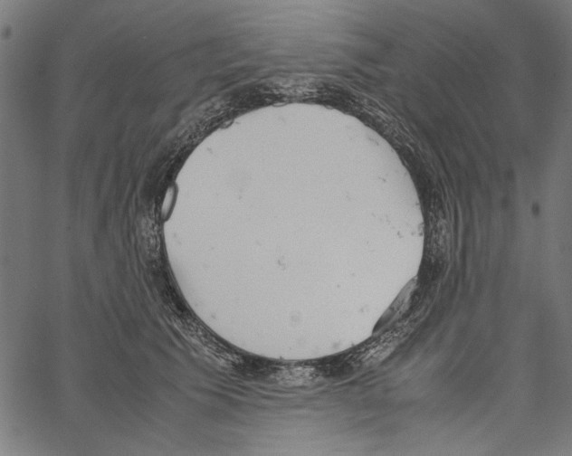 X0000062150609200601060951