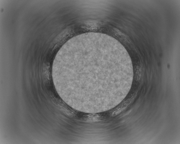 X0000062150612200601060951