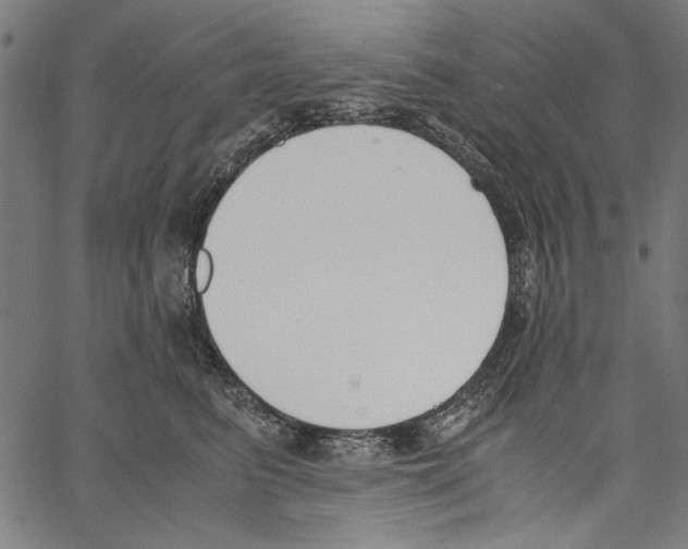 X0000062150615200601060950