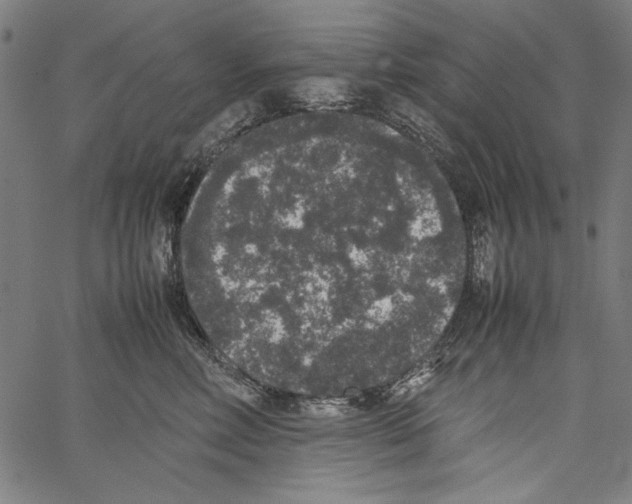 X0000062150618200601060950