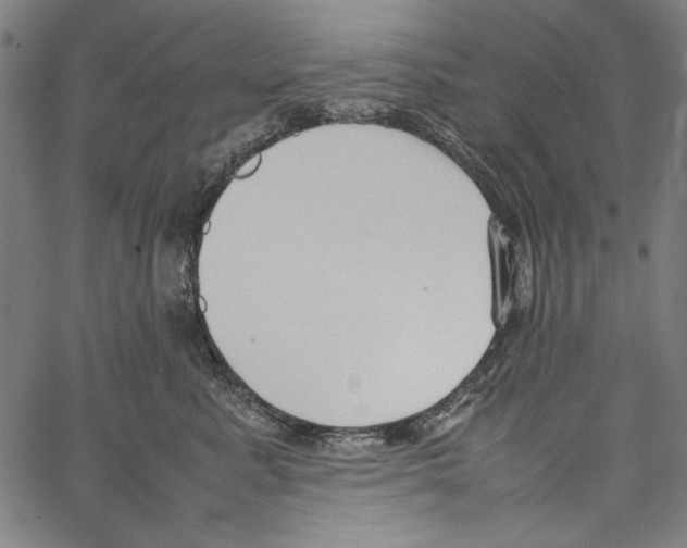 X0000062150619200601060950