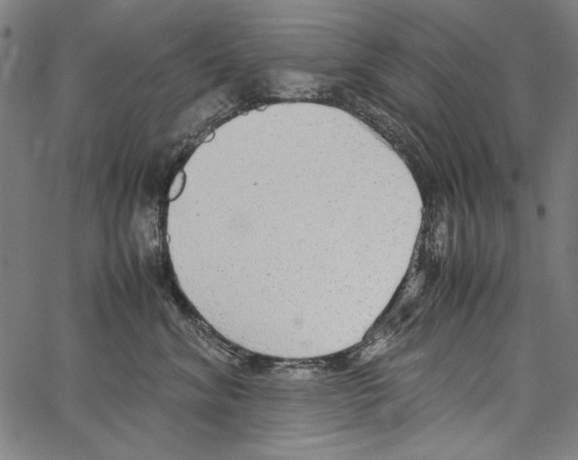 X0000062150620200601060950