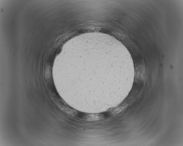 X0000062150623200601060950