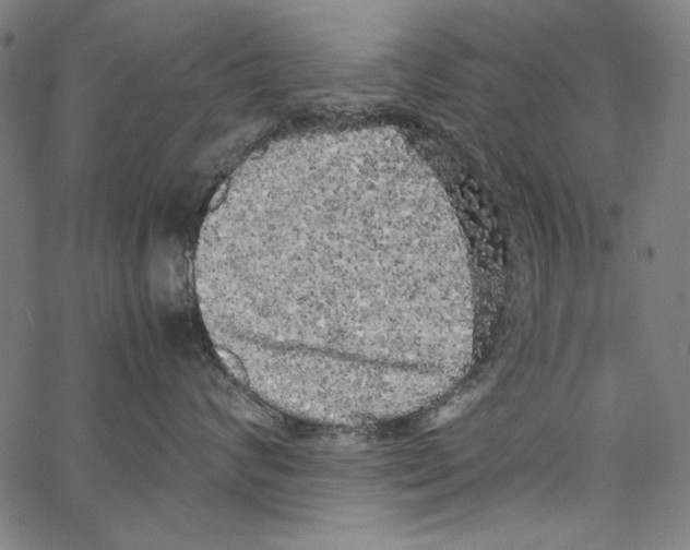 X0000062150624200601060950