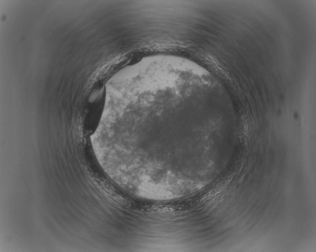 X0000062150640200601060950