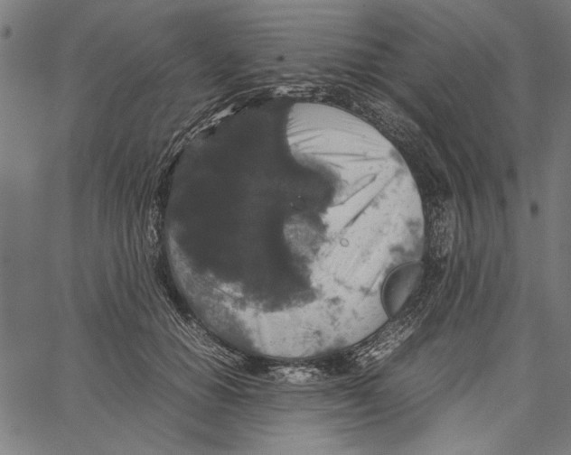 X0000062150654200601060950