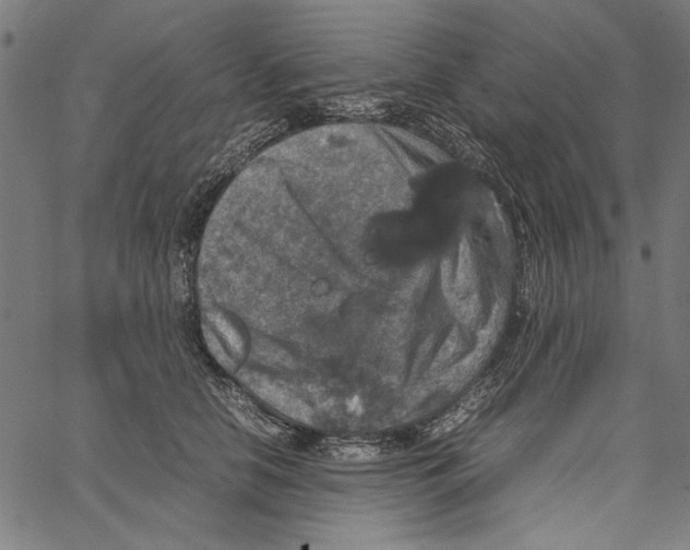 X0000062150658200601060950