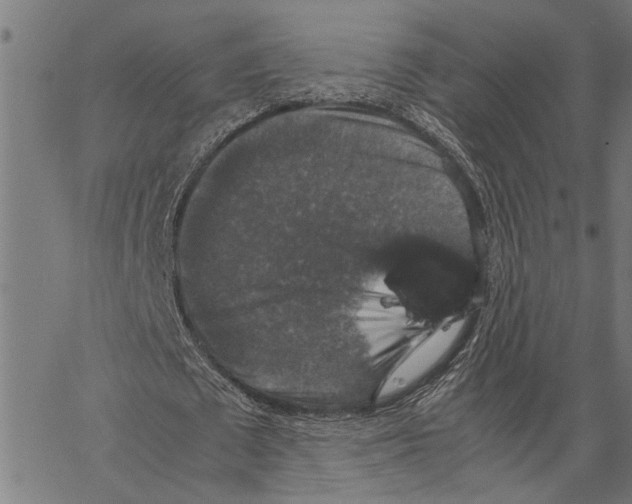 X0000062150673200601060949
