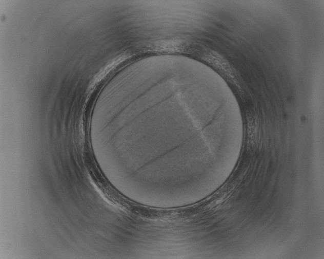 X0000062150674200601060949