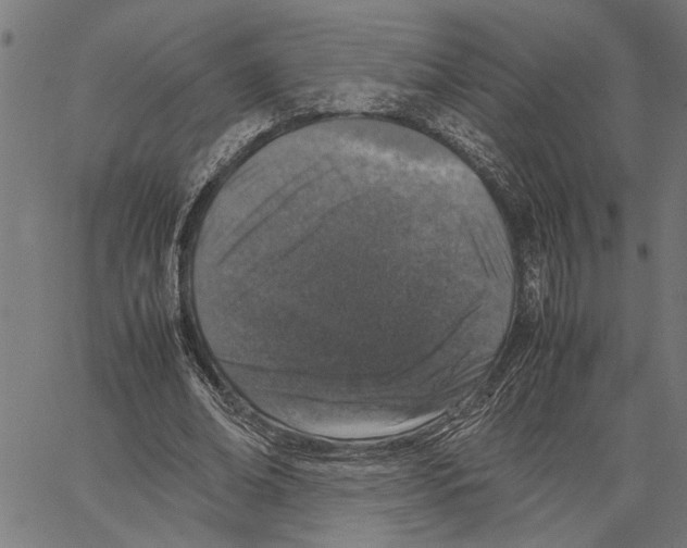 X0000062150678200601060949