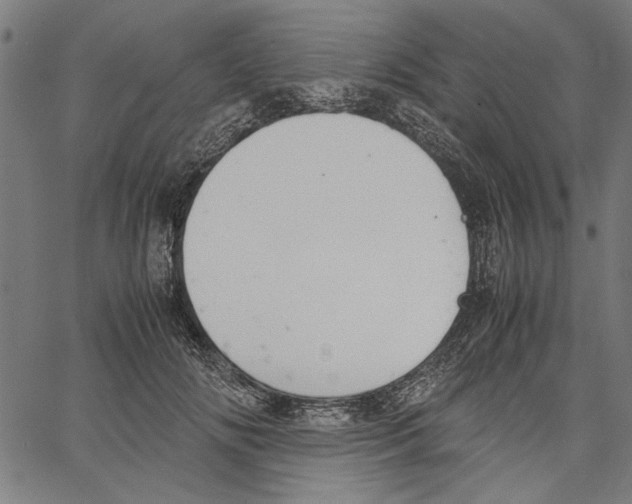 X0000062150702200601060949