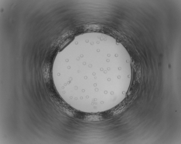 X0000062150708200601060949