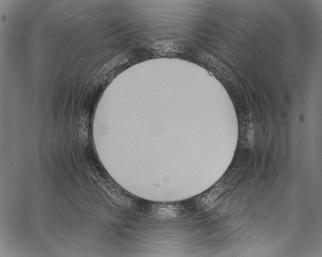 X0000062150710200601060949