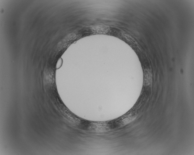 X0000062150713200601060949