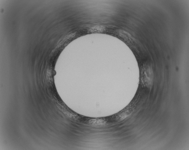 X0000062150714200601060949