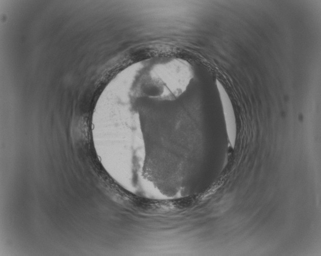 X0000062150715200601060949