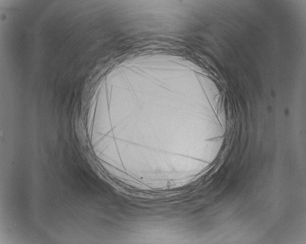 X0000062150717200601060949