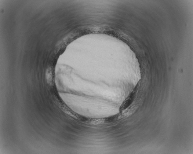 X0000062150720200601060949